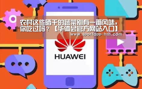 华体会官方网站入口